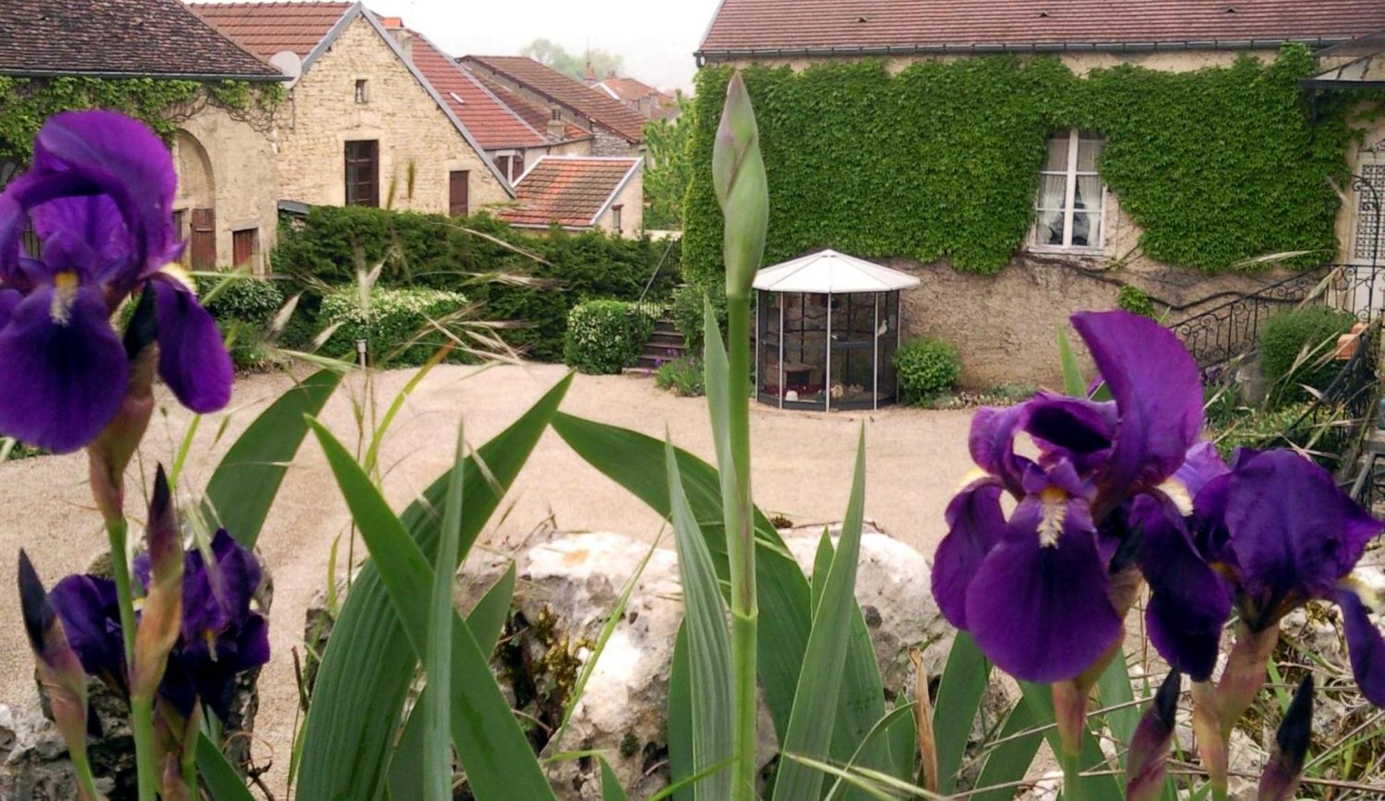 Le Chateau De Prauthoy Exteriér fotografie