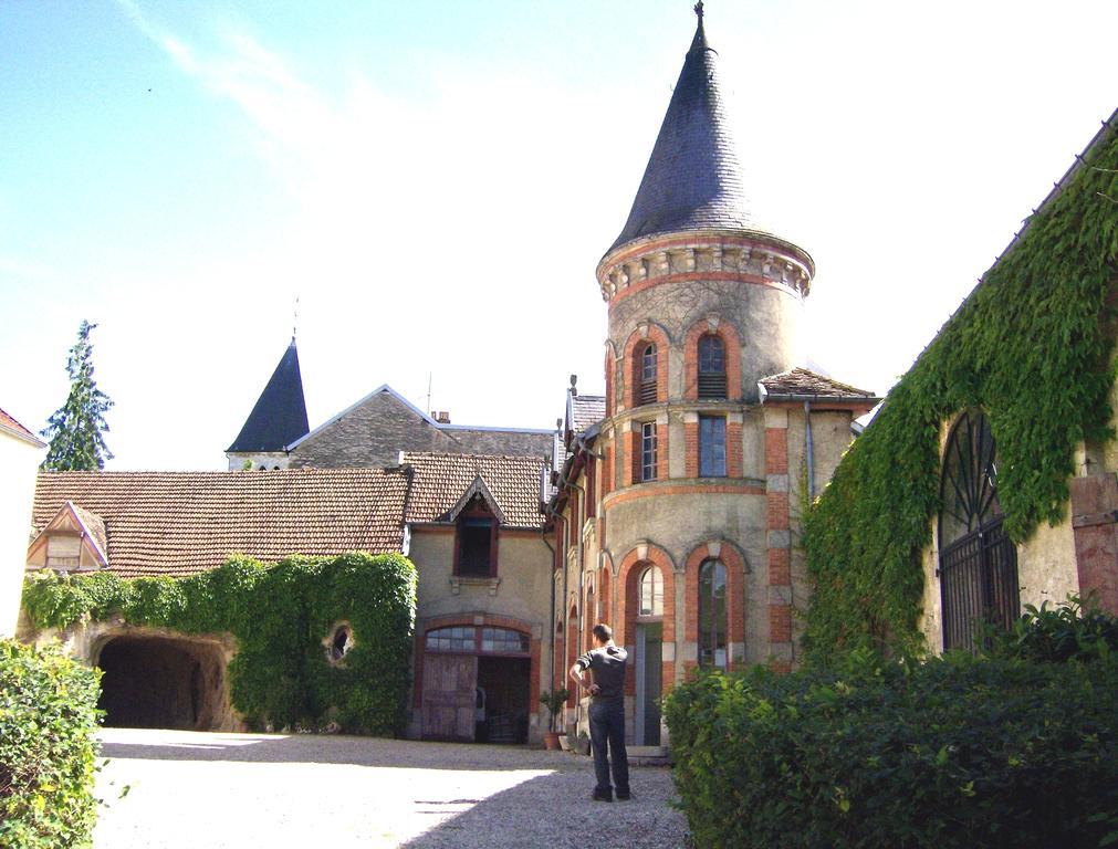 Le Chateau De Prauthoy Exteriér fotografie