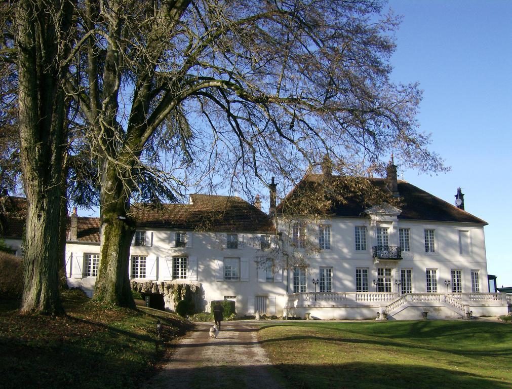 Le Chateau De Prauthoy Exteriér fotografie